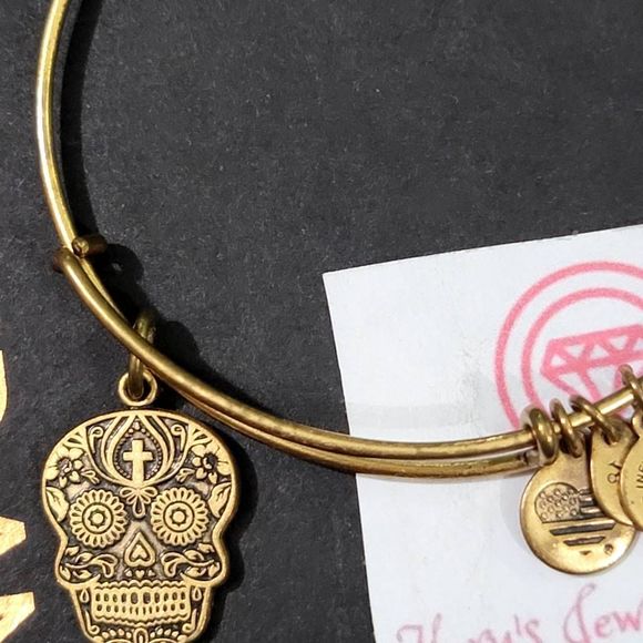 Alex and Ani Calavera Charm Bracelet in Rafaelian Gold - Picture 4 of 5